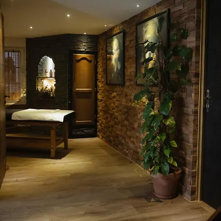 Villa-aphrodia Thionville